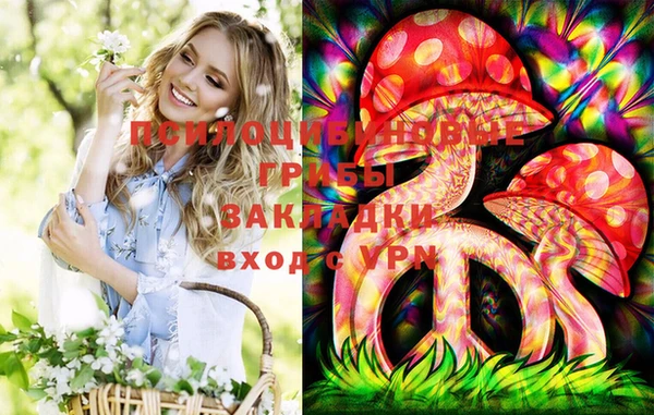 spice Белокуриха